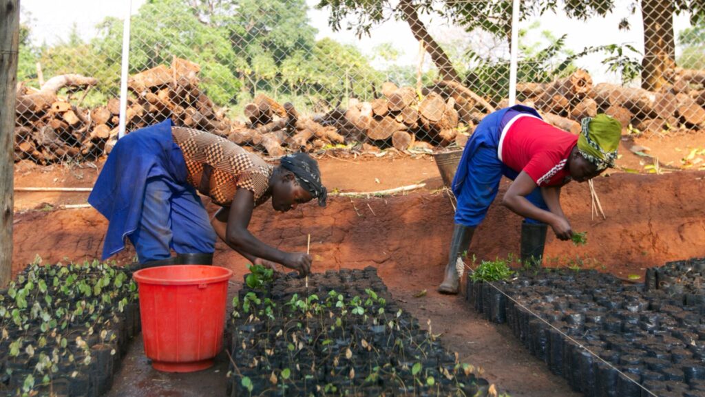 TUI Care Foundation, Sustainable Development, Least developed countries, sustainable tourism, Tourism For Development Fund