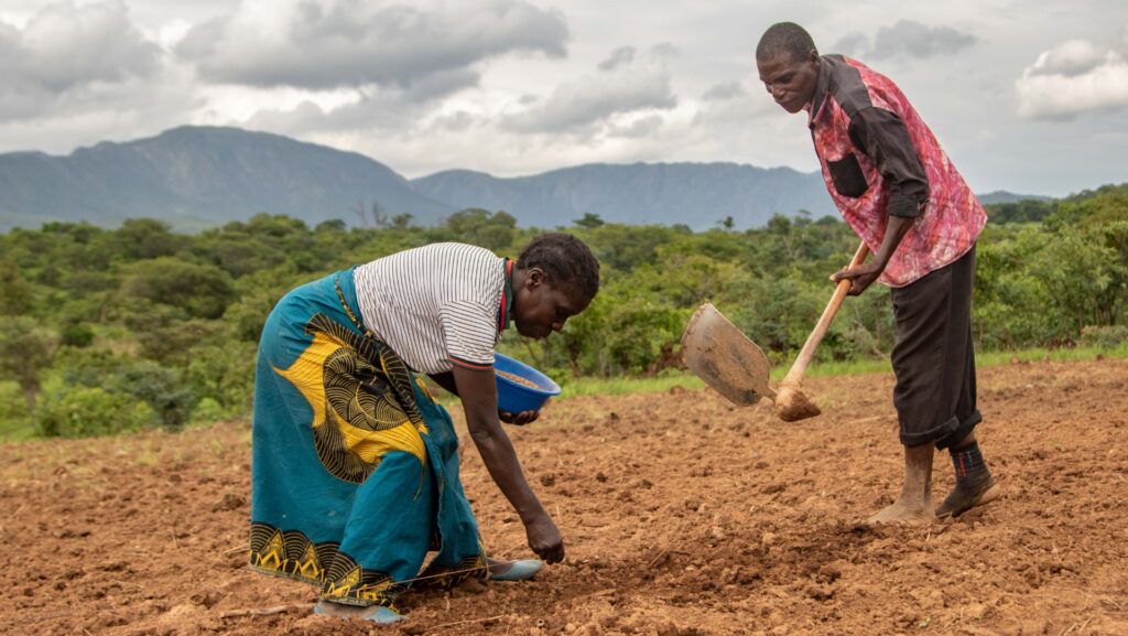 TUI Care Foundation, Sustainable Development, Least developed countries, sustainable tourism, Tourism For Development Fund, UNTourism