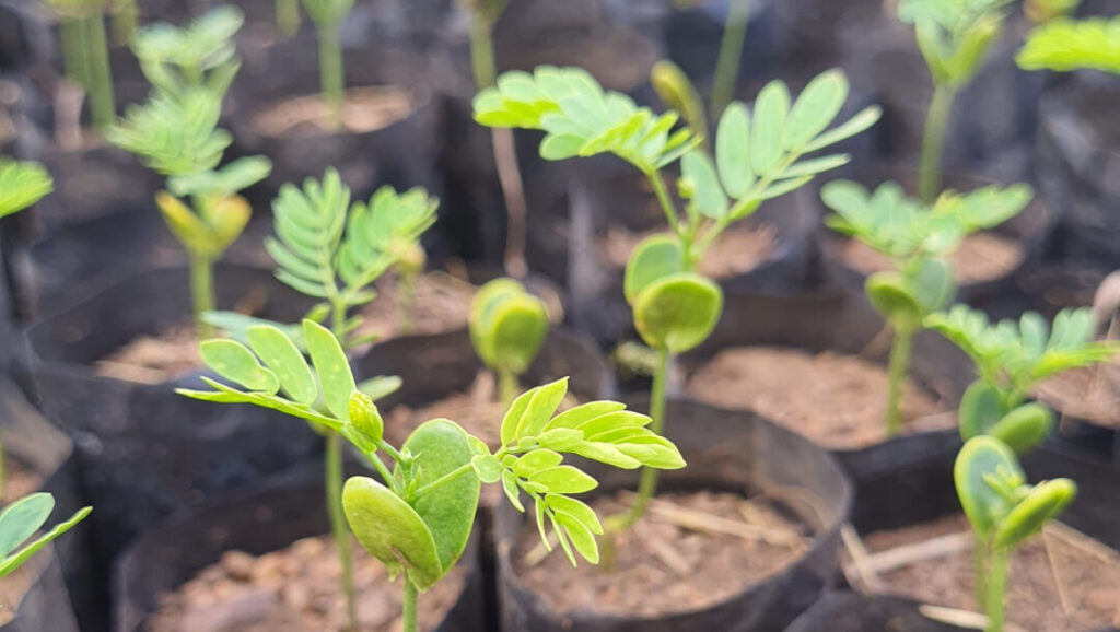 TUI Care Foundation, Sustainable Development, Least developed countries, sustainable tourism, Tourism For Development Fund, UNTourism