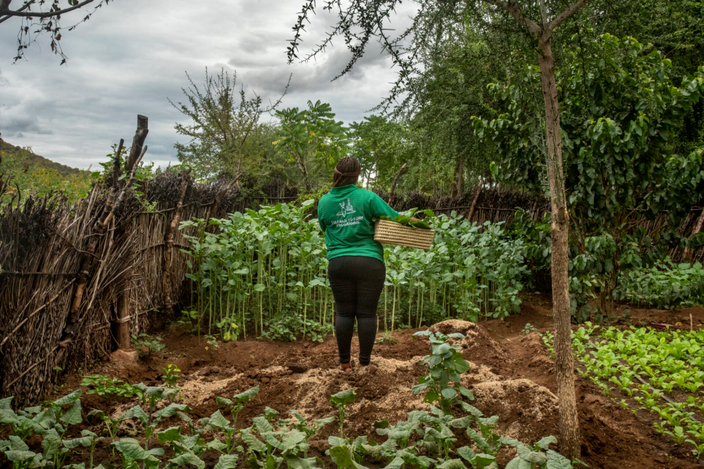 Women in a branded TUI Field to Fork T-shirt in front of a plantage holding a basket